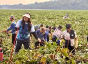 Ariastuty Sirait Galang Aksi Bersih Waduk Duriangkang