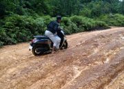 Ironi di Lingga: Desa Berprestasi Nasional, Tapi Warga Harus Patungan untuk Memperbaiki Jalan Provinsi