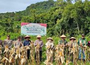 Polres Anambas Panen Raya Jagung, Dorong Ketahanan Pangan Jelang Akhir Tahun