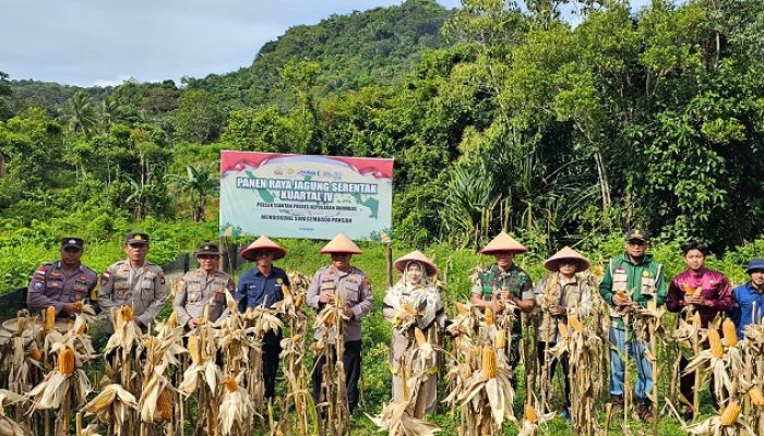 Polres Anambas Panen Raya Jagung, Dorong Ketahanan Pangan Jelang Akhir Tahun
