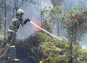 Kebakaran Lahan Terjadi di Sambau, Api Padam dalam Dua Jam