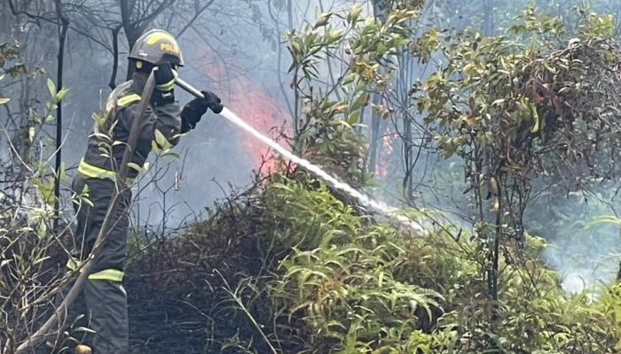 Kebakaran Lahan Terjadi di Sambau, Api Padam dalam Dua Jam