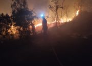 Lima Hektare Lahan Terbakar di Dompak, Pemadaman Berlangsung hingga Malam