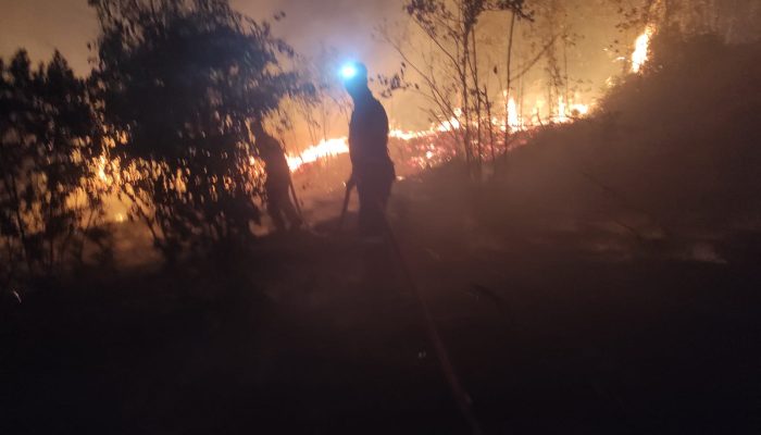 Lima Hektare Lahan Terbakar di Dompak, Pemadaman Berlangsung hingga Malam