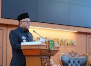 Lis Usulkan Aturan Cadangan Pangan dan Peta Jalan Industri Tanjungpinang