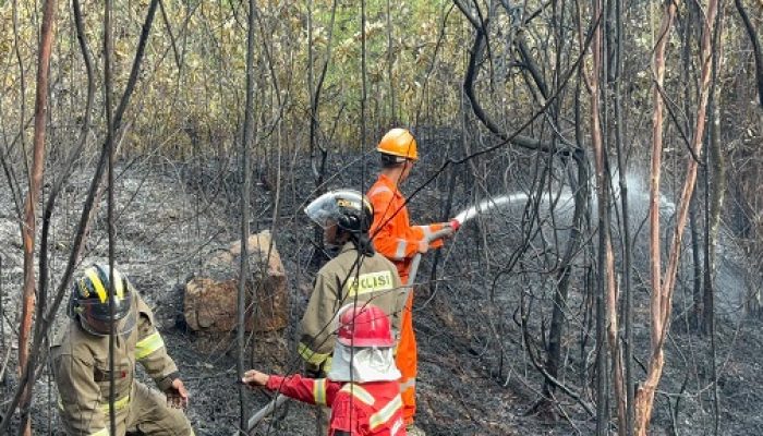 Kebakaran Hutan di Batam, Brimob dan Damkar Cegah Api Meluas