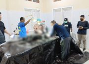 Penyerangan Berdarah di PT Kristal Nabire, Dua Orang Meninggal Dunia