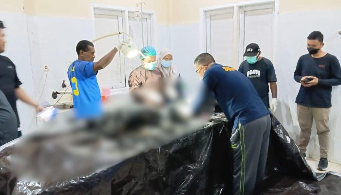 Penyerangan Berdarah di PT Kristal Nabire, Dua Orang Meninggal Dunia