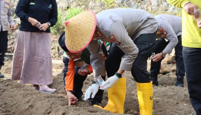 Kapolri Targetkan 1 Juta Hektare Jagung, Polresta Tanjungpinang Ikut Program