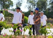 Proyek Taman hingga IPA Sei Ladi Dicek, Amsakar Pastikan Progres Jalan