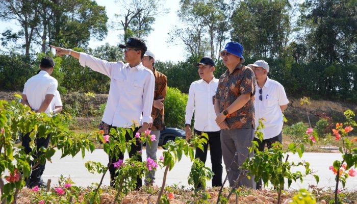 Proyek Taman hingga IPA Sei Ladi Dicek, Amsakar Pastikan Progres Jalan