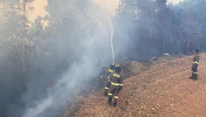 Musim Kemarau Picu Kebakaran Lahan, Damkar Tanjungpinang Kewalahan Air