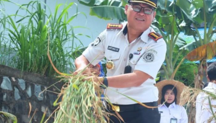 Kalapas Untung Cahyo Sidharto Panen Padi Gogo Bersama Warga Binaan