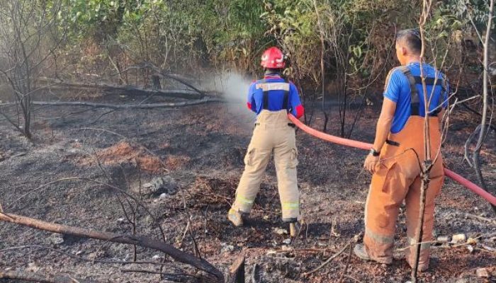 Diduga Pembukaan Lahan, Kebakaran Terjadi di Km 14 Air Raja