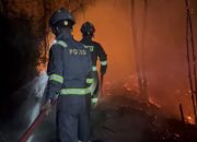 Kebakaran Hutan di Sembulang Batam Berhasil Dipadamkan Tim Gabungan