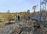 BP Batam Tinjau Karhutla di Nongsa, Tekankan Peran Masyarakat Cegah Kebakaran