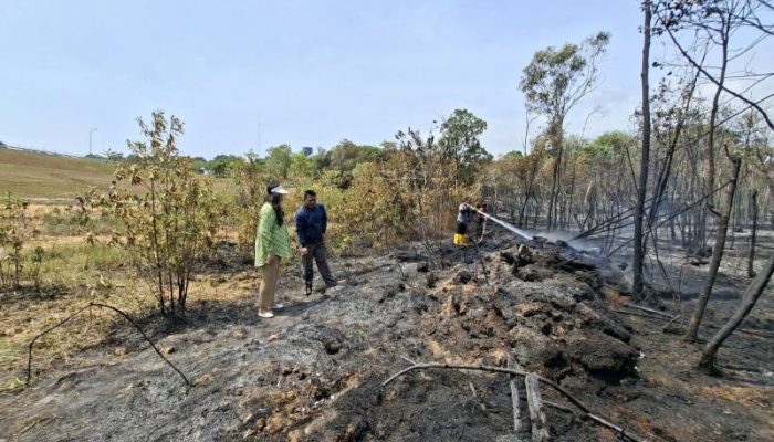 BP Batam Tinjau Karhutla di Nongsa, Tekankan Peran Masyarakat Cegah Kebakaran