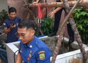 Pekerja Sumur Lemas di Kedalaman 20 Meter, Damkar Tanjungpinang Lakukan Evakuasi