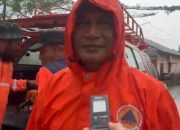 Angin Kencang Tumbangkan Pohon di Tanjungpinang, Tim Gabungan Tangani Tiga Titik