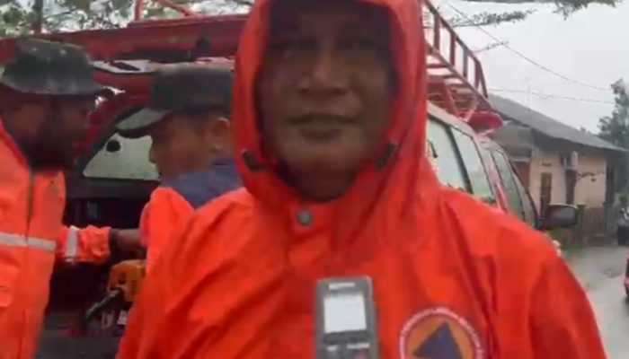Angin Kencang Tumbangkan Pohon di Tanjungpinang, Tim Gabungan Tangani Tiga Titik