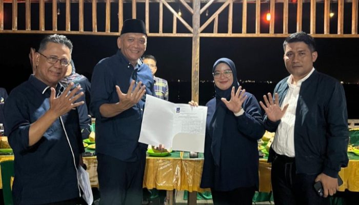 NasDem Tunjuk Maya Sari Jabat Ketua DPD Kabupaten Lingga