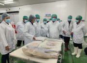 Ansar dan Menteri Trenggono Resmikan Industri Pengolahan Ikan di Kepri