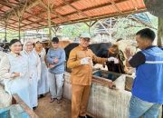 Hewan Kurban di Tanjungpinang Dipantau Ketat, DPPP Pastikan Kondisi Sehat