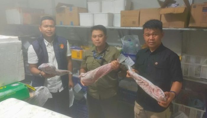 Satgas Saber Pangan Bintan Cek Harga Beras, Minyak, dan Telur Jelang Hari Raya