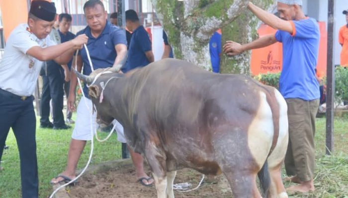 Enam Hewan Kurban Disembelih di Lapas Tanjungpinang, Hasilnya untuk Warga Binaan