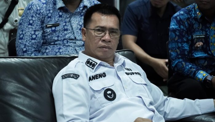 Lobi Pintu Internasional, Bupati Aneng Targetkan Anambas Jadi Episentrum Wisata Dunia