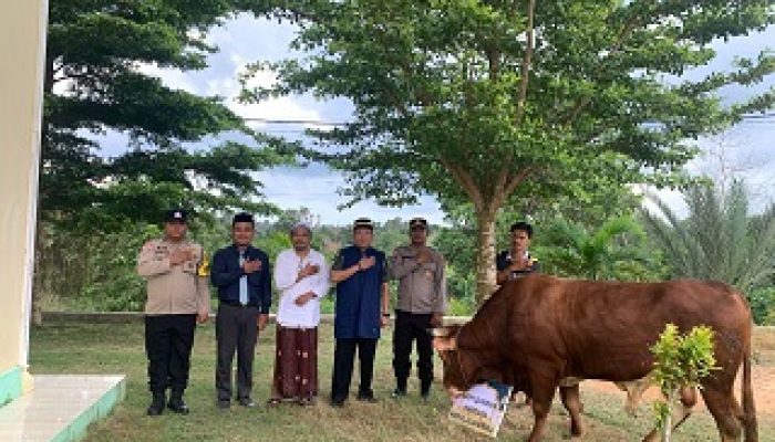 Ponpes Bintan Terima Sapi Kurban Premium dari Kapolda Kepri