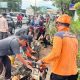 Pohon Tumbang di Jalan Tanjungpinang–Uban, Dua Pengendara Terluka