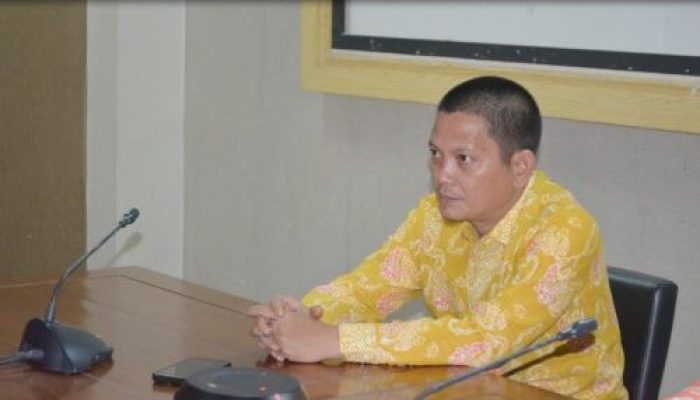 Mendagri Tegaskan Tak Boleh Ada PHK PPPK, Wabup Anambas Ikuti Pembahasan