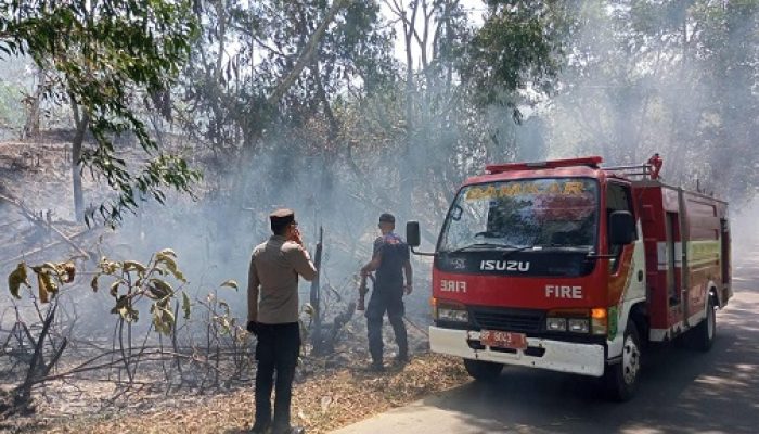 Lima Kasus Karhutla Dilaporkan, Lis Minta Warga Waspadai Pembakaran Sampah