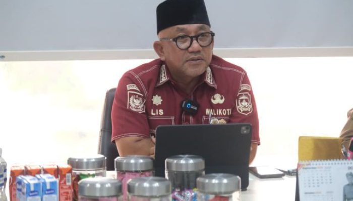 Lis Minta Pemerintah Pusat Buka Skema Pendanaan Transisi Energi untuk Daerah Kepulauan