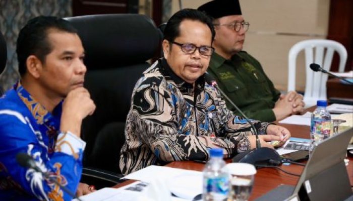 Pemko Batam Sampaikan Kondisi BUMD ke DPD RI dalam Penyusunan RUU