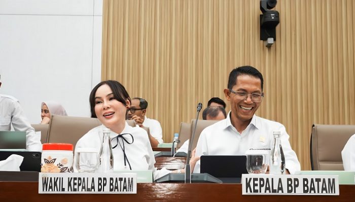 BP Batam Siapkan Anggaran Rp2,44 Triliun untuk Percepatan Investasi 2027